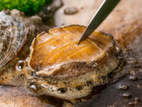 あわびコース【税込¥10,800】