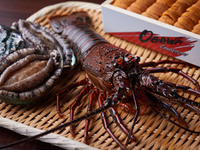 【おまかせコース】