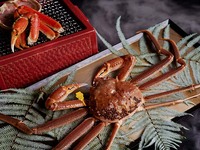 【ディナー】越前蟹会席（11/12～3/10）※12/26～1/8除く