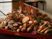 Premium Wine 3Glass Set & Seasonal Course 【Ukai Selected Beef Sirloin Steak】