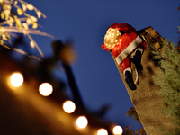 20周年ギフト付き　クリスマス　薪焼きランチコース