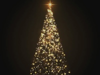 ”24日25日”クリスマスコース【ディナー】