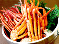 《契約企業様》【第1部・4歳～12歳】年末年始ディナービュッフェ