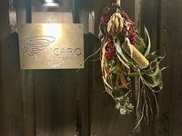 New year holiday season