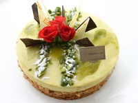 【11/1～】ピスターシュショコラ 4号（直径12㎝） 2～3名様 