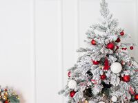 【5,000円】2025 クリスマスディナー（お子様コース）