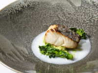 HIGASHIYAMA LUNCH　【鮮魚の幽庵風ポワレ　春キャベツのブレゼとアサリのチャウダー仕立て】+2ドリンク