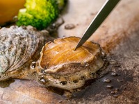 [Christmas 2025] Abalone Lunch (December 20th, 21st, 24th, 25th)