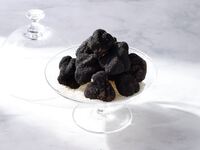 【ディナー】黒トリュフ特別コース　「Tartufo Nero」（12/26～2/3）