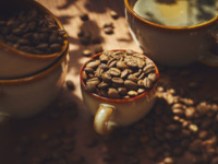 【12～2月平日90分制/テイクアウトコーヒー＆クッキー】アンティパスト＆スイーツビュッフェ