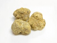 [Chef's Recommendation] Chef's Omakase Full Course