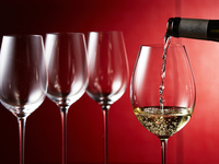 【Sommelier-Selected 5 types of wine pairings +1 glass of champagne】Dinner Course「Menu Dégustation」