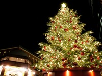 Christmas Chef's Choice Course with Alcohol Pairing