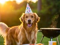 【犬】BBQ利用料（ドッグサイトのみ利用）