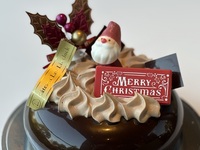 ショコラピスターシュ（14㎝ワンサイズ）