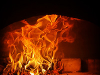 【ランチ限定】レグノコース