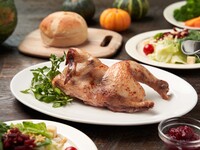 【単品】ハーフターキー