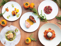 【選べるメイン】季節の味覚を堪能するスペシャルランチコース【平日限定】