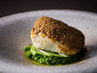 ≪Seasonal Dinner Set≫Grilled Sea Bream with Pistachio Butter, served with Verdurette Risotto