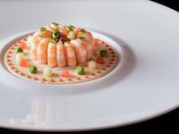 【MENU DÉGUSTATION】  limited time Winter degustation course ～glass of Champagne and wine pairing included～  〈Lunch & Dinner〉