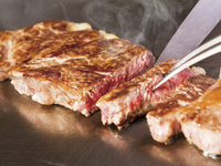 【さくらB】 岩手黒毛和牛ロース肉の鉄板焼きコース（2026.2.1～）