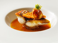 Lunch｜季節の4皿プリフィックスコース＜乾杯スパークリング付き＞