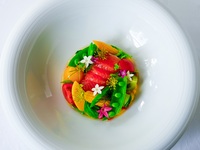 【LE CHENE】Petit Saison(プチセゾン)【2025年12月31日】