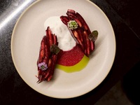 【기간 한정】WINTER COURSE 5품 ◆ 계절 야채의 건강한 코스 <디저트는 메시지 플레이트에도 변경 가능>