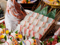 【藤　ふじ】姿造り季節のお会席