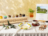 <Weekends ＆ Holiday> "Afternoon Exhibition " Chapter 15 "Tōhaku — Taste of The Archive" with Unlimited Coffee and Tea Offerings