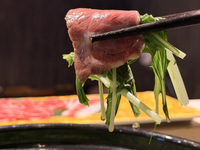 Special Sakura Harihari Hot Pot Course