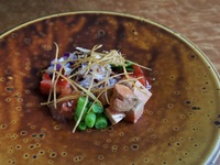 季節のスペシャルコース 全8品＋ゼブラ・ストライピング　　