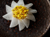 【ランチコース4品】日本の美食の旅 Vol.5「 京都 meets 金沢」 