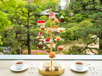 予約受付中【席予約】 KUSUNOKI ～クリスマス 2025～