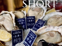【2名様までの平日限定1時間コース】生牡蠣と牡蠣料理をサクっと食べたいあなたへ！『牡蠣Lover'sショート』
