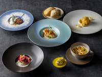 鶺鴒(せきれい) 12/1～2/28