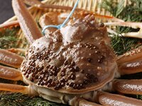＜全室個室＞【蟹至福】香箱蟹、加能蟹いろり焼き、蟹刺し等蟹料理5種と松阪牛いろり焼きなど～全9品～