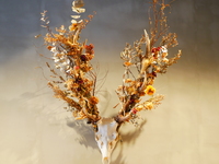 クリスマススペシャルコース　ディナー