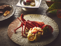 Limited-Time Offer: Teppanyaki “Manza Course” — 15% Off