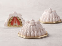 Premium Marron Chantilly Sweetcorn and Japanese Chestnuts from Fukuoka Prefecture (1/6-3/31)