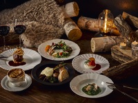 THE WINTER DINNER TABLE/Winter Dinner Course + [All-you-can-drink/Standard]