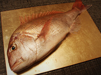 Kursgebühr: 19.800 Yen (1 Person)