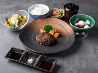 Hamburg steak