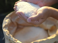 [Sushi] Yamada Farm x Tsuki no Katsura x Fushimino Sushi Mizuki Collaboration Event