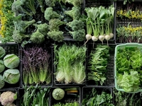 [Tempura] Yamada Farm x Tsuki no Katsura x Fushimino Tempura Mizuki Collaboration Event