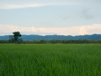 【鉄板】ヤマダファーム×月の桂×伏見乃    鉄板 水暉コラボレーションイベント