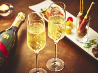 2025–2026 Year-End Limited Resort VIP Seat