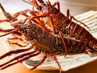 [Omar shrimp Course] Omar shrimp x Kobe beef sirloin 100g course