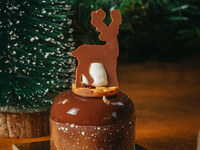 Mini- Florentine Chocolate Cake with Rudolph 