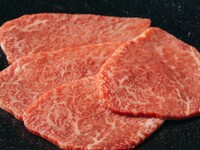 [2-hour all-you-can-drink] Main beef "Ushigoro" course